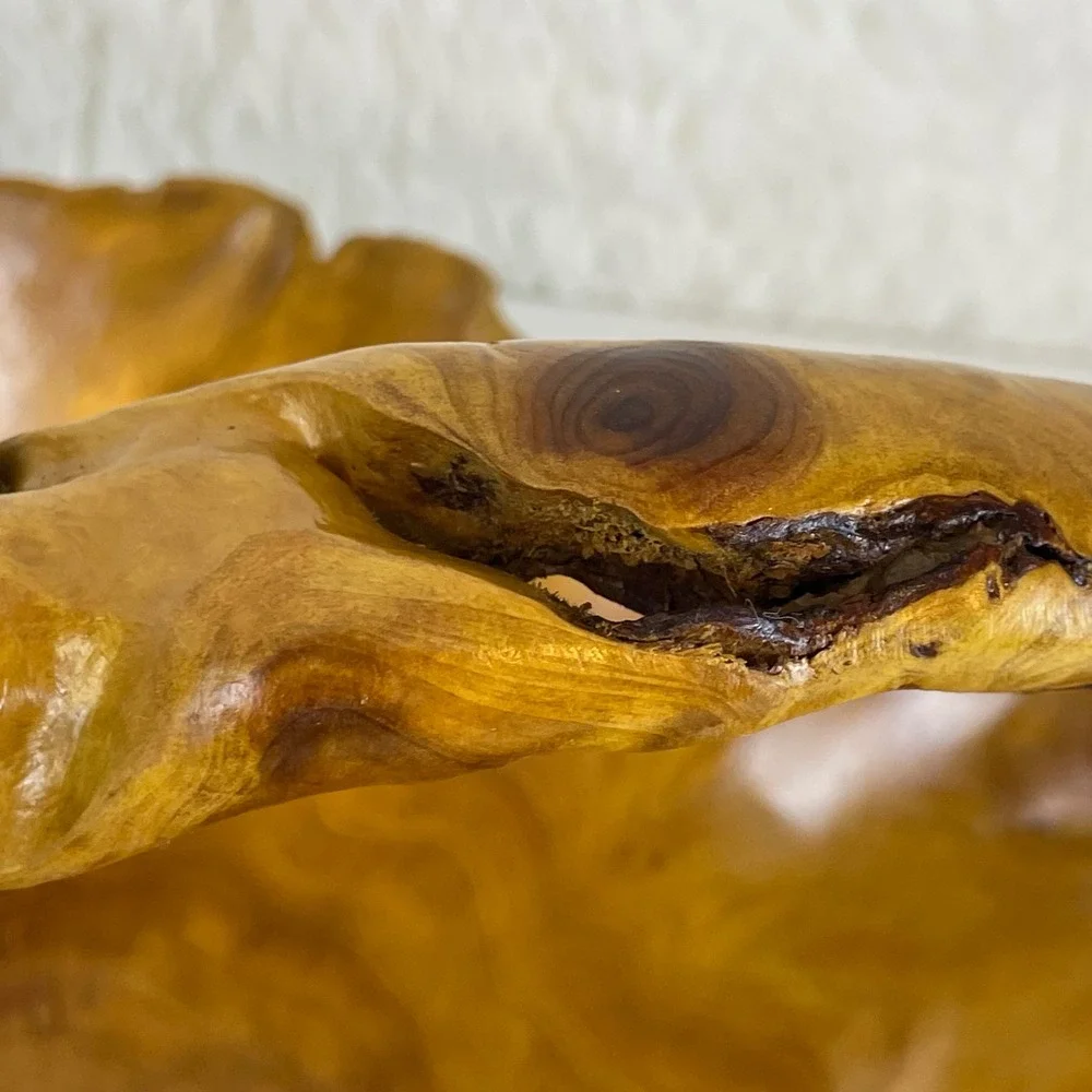 MCM Artisan Vintage Hand Carved Live Edge Burl Wood Basket Rustic Fruit Bowl